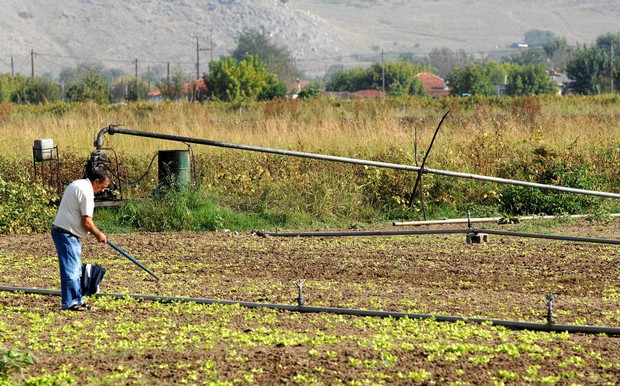 Μίσθωση 200 στρεμμάτων για επενδύσεις στην Ξάνθη