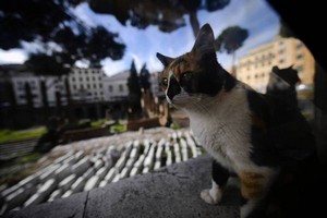 Βρε, βρε σαν τα χιόνια