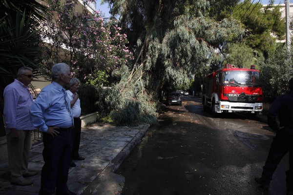 Αποζημίωση Δήμου σε 5 πολίτες για τραυματισμό και ζημιές από πτώση δέντρου