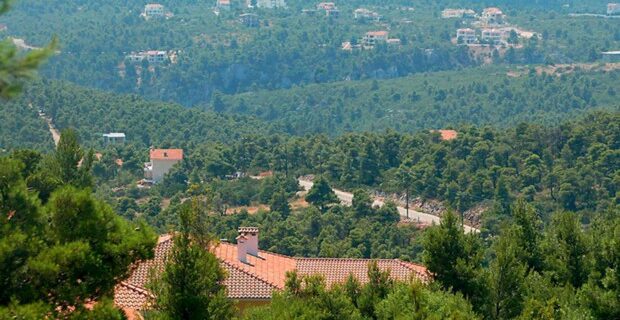 Νομιμοποιούνται τα ακίνητα σε δάση
