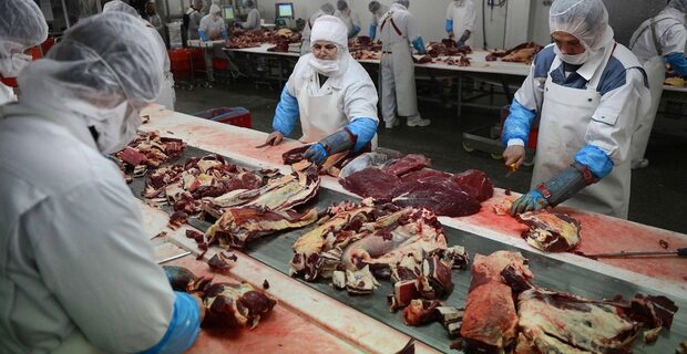 ΕΦΕΤ: Ήξεραν ότι χρησιμοποιούσαν κρέας αλόγου στα προϊόντα τους
