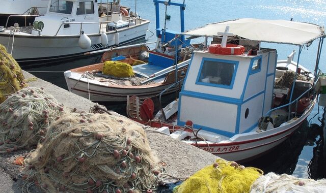 Ινστιτούτο Θαλάσσιας Προστασίας “Αρχιπέλαγος”: Αφανίζεται η αλιεία στην Ελλάδα