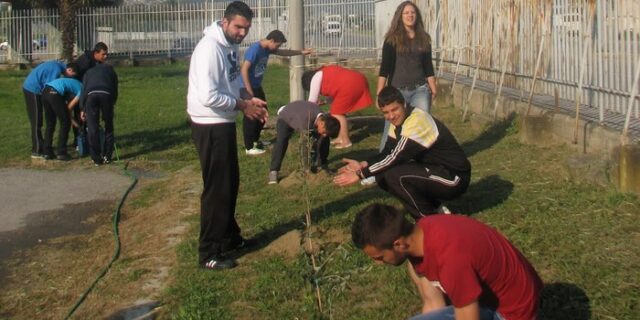 Είκοσι μία ελιές για τους αδικοχαμένους μαθητές των Τεμπών