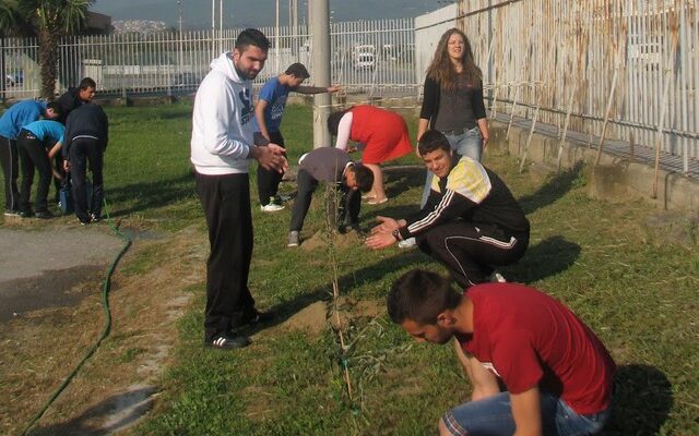 Είκοσι μία ελιές για τους αδικοχαμένους μαθητές των Τεμπών