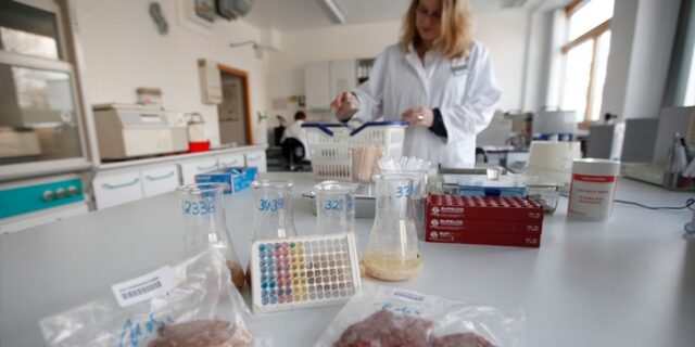 Συναγερμός μετά τον εντοπισμό DNA αλόγου σε τρόφιμα. Τσουχτερά πρόστιμα από ΕΦΕΤ