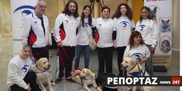 Η “Λάρα” μας δείχνει τον δρόμο. Όταν ένας σκύλος γίνεται τα “μάτια” του αφεντικού του