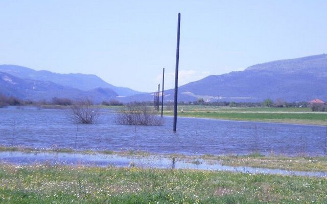 Κολώνες της ΔΕΗ μέσα στην προστατευόμενη λίμνη Αμβρακία