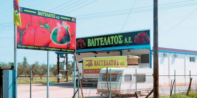 Βίντεο πριν το μακελειό στη Μανωλάδα: “Αν δεν θέλετε, θα έρθουν να δουλέψουν άλλοι”