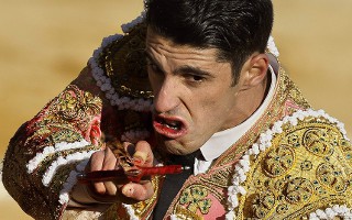 Κόρη, γάμος και γάτες