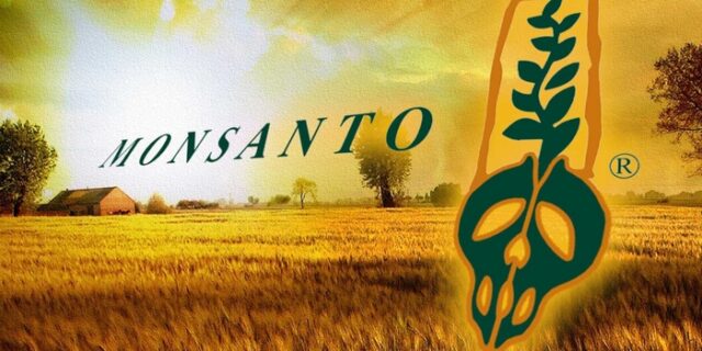 Η Monsanto πατεντάρει γεωργικά προϊόντα: Αντιδράσεις κατά της διατροφικής βιομηχανίας