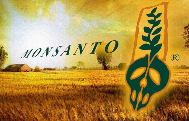 Η Monsanto πατεντάρει γεωργικά προϊόντα: Αντιδράσεις κατά της διατροφικής βιομηχανίας
