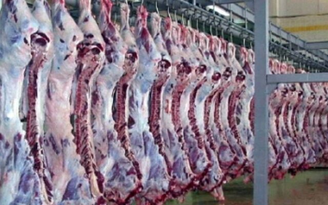 “Ελληνοποιούσαν” σφάγια με κλεμμένη σφραγίδα στο Αγρίνιο