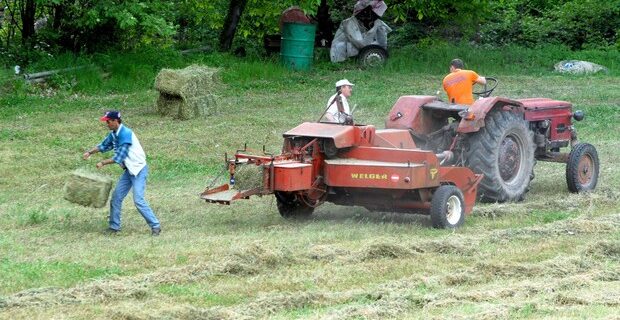 Χωρίς φόρο ακινήτων τα αγροτεμάχια