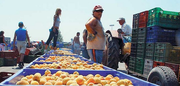 Τα λάθη της Ελλάδας σε επενδύσεις και εξαγωγές