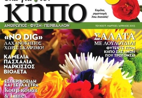 Το περιοδικό ”Όλα για τον Κήπο” ομορφαίνει τα παιδικά χωριά SOS στη Βάρη