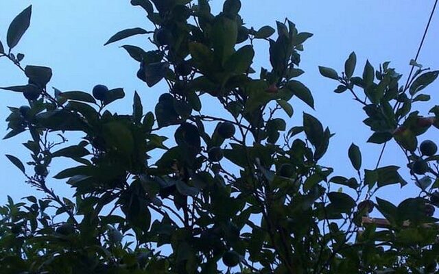 Κοριτσάκι έπεσε από πολυκατοικία και σώθηκε από θαύμα
