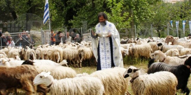 Ευλόγησαν τα πρόβατα στα Χανιά
