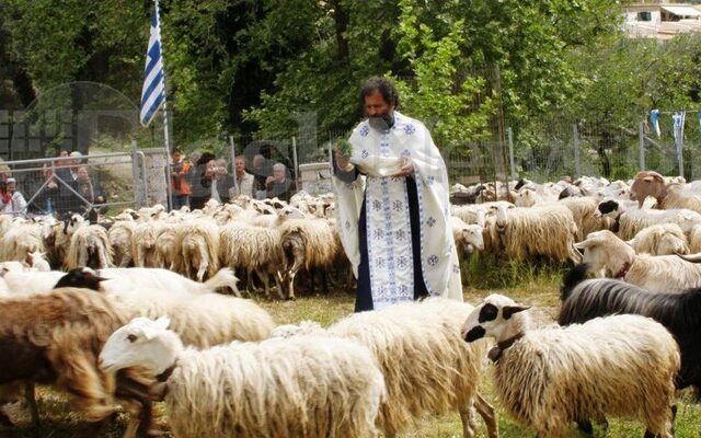Ευλόγησαν τα πρόβατα στα Χανιά