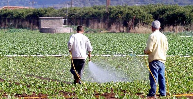 Πρόστιμα – φωτιά από το ΥΠΑΝ για παράνομα φυτοφάρμακα