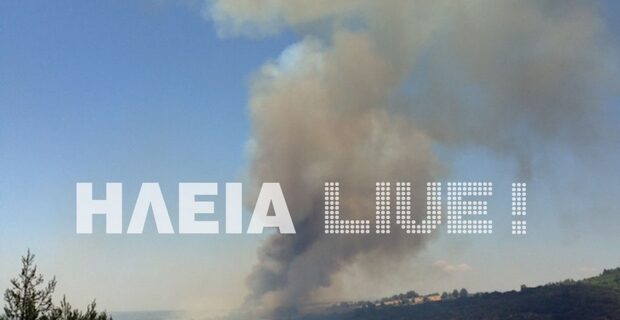 Μεγάλη φωτιά στο Φραγκοπήδημα Αμαλιάδας