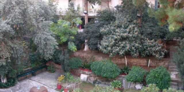 Έριξαν δηλητήριο στην αυλή αντιδημάρχου της Πάτρας