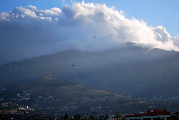 Δασική πυρκαγιά στην Κάρυστο Ευβοίας