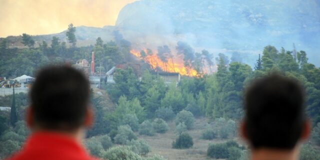 Φωτιά στην Ψάθα στο Αλεποχώρι