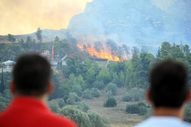 Φωτιά στην Ψάθα στο Αλεποχώρι