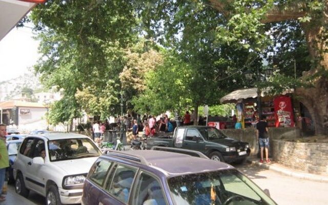 Φωτιά στην Ελασσόνα – Εκκενώθηκε για προληπτικούς λόγους η πόλη