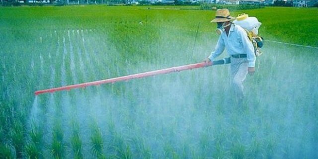Πέλλα: Αγρότες έβαλαν επαγγελματίες διαρρήκτες να κλέψουν φυτοφάρμακα