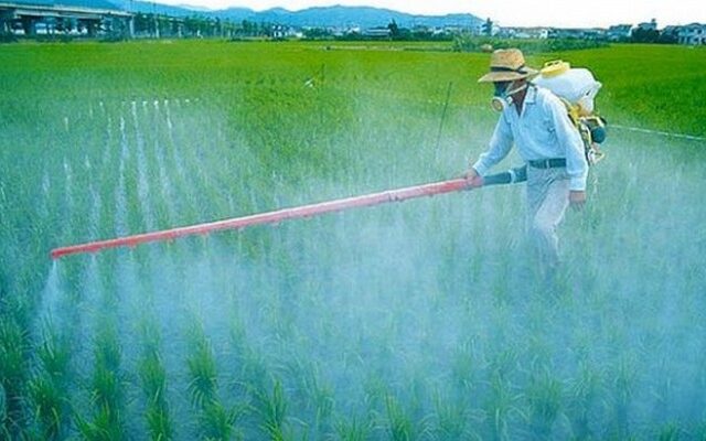 Πέλλα: Αγρότες έβαλαν επαγγελματίες διαρρήκτες να κλέψουν φυτοφάρμακα