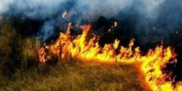 Φωτιά στη Νεμέα Κορινθίας