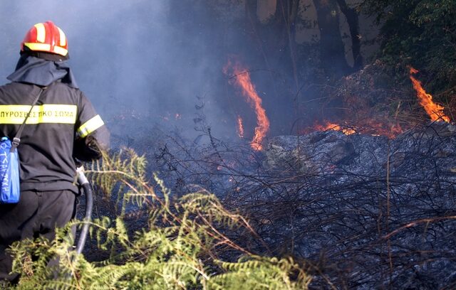 Φλώρινα: Υπό μερικό έλεγχο η φωτιά στον Αγ. Γερμανό Πρεσπών