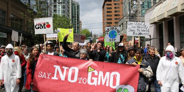 Monsanto: Εγκαταλείπει την προσπάθεια να πάρει ευρωπαϊκή έγκριση
