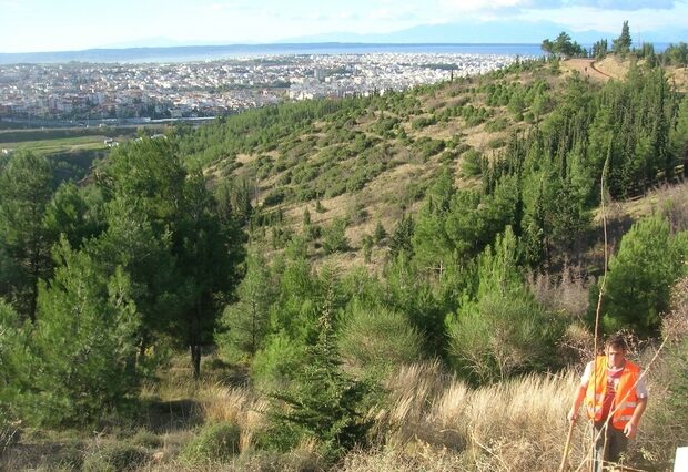 Απαγόρευση κυκλοφορίας στο Σέιχ Σου υπό τον φόβο πυρκαγιάς