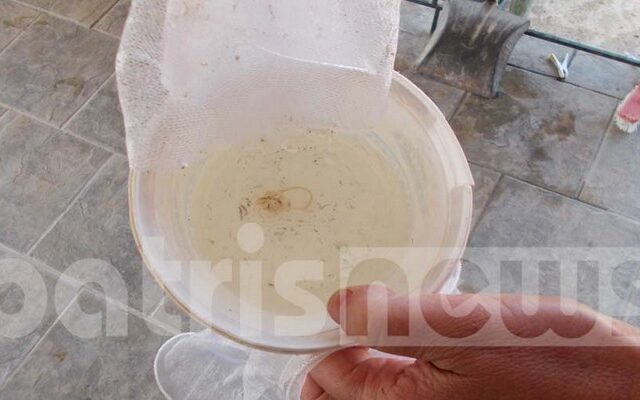Οι βρύσες τρέχουν σκουλήκια στη Νέα Μανωλάδα