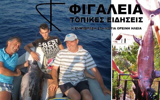 Ψάρεψαν ξιφία βάρους 100 κιλών και μήκους άνω των 2 μέτρων