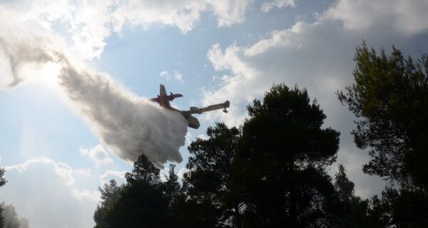 Σε εξέλιξη πυρκαγιά στη Ριτσώνα Βοιωτίας και στα Ψαχνά Ευβοίας