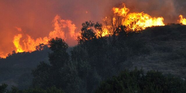 Συλλήψεις για εμπρησμό από πρόθεση σε Ρόδο και Ναυπακτία