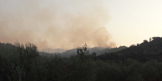 Ρόδος: “Εξιλαστήριο θύμα ο εθελοντής δασοπυροσβέστης που κατηγορείται για εμπρησμό”