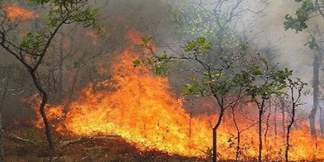 Φωτιά σε εξέλιξη στα Κύθηρα