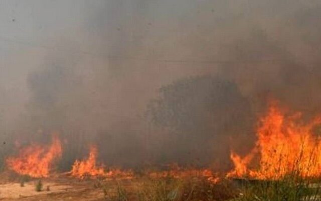 Μεγάλη φωτιά στη Βοιωτία, απείλησε χωριά