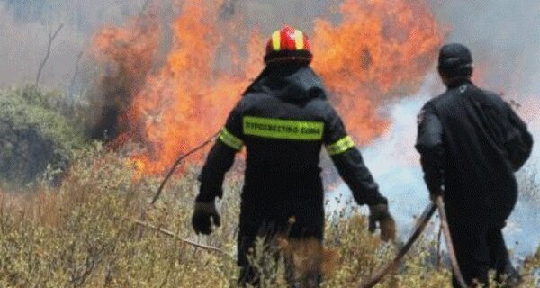 Πυρκαγιές σε Ηλεία και Φωκίδα