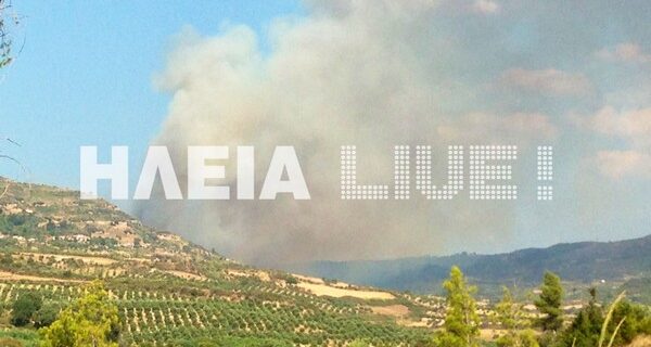 Φωτιά στην περιοχή Κλεινδιά, στην Ηλεία