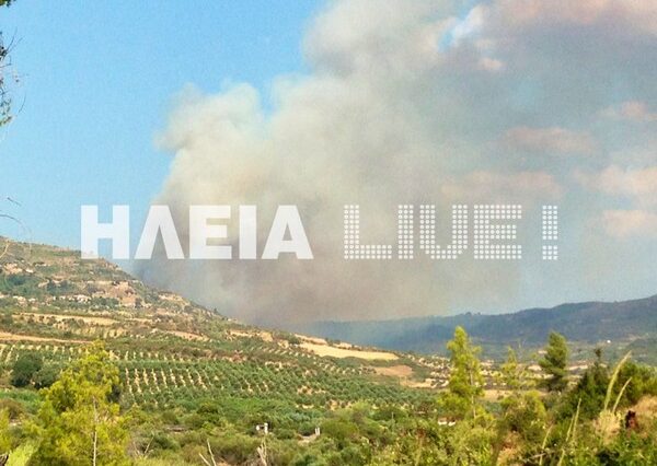 Φωτιά στην περιοχή Κλεινδιά, στην Ηλεία