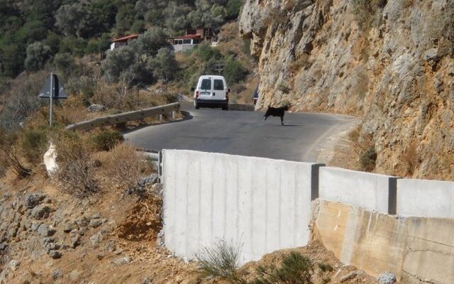 Η ανεξέλεγκτη βόσκηση αιτία της πτώσης βράχου σε ΙΧ στα Χανιά