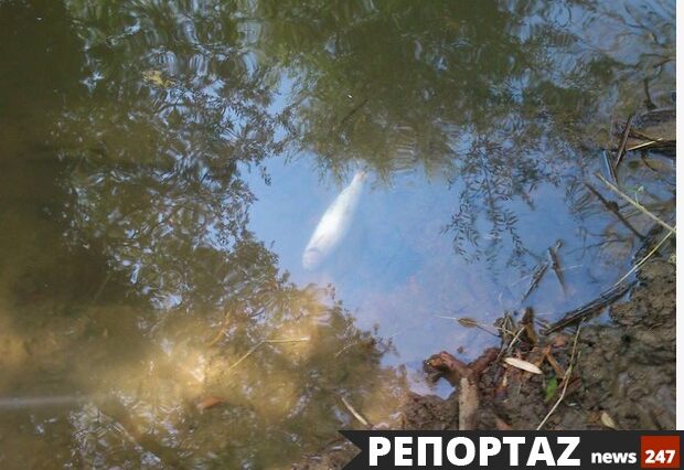 Περιβαλλοντική καταστροφή στον Ασωπό. Άλλαξαν τη ροή του ποταμού για να ποτίσουν περιβόλια