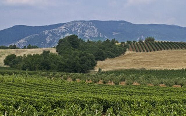 Άμεσα η καταβολή του ειδικού φόρου κατανάλωσης πετρελαίου στους αγρότες