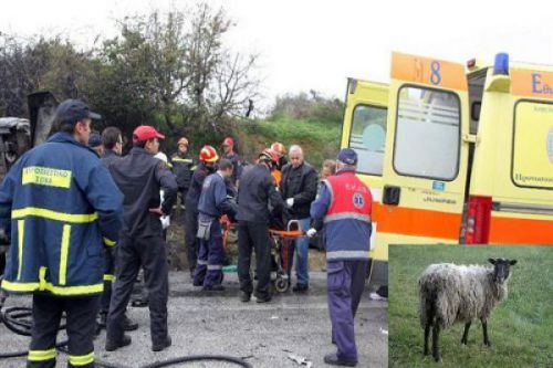 Τουρίστρια τράκαρε με πρόβατο