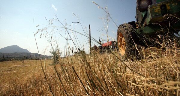 Ποιοι αγρότες απαλλάσσονται από την τήρηση βιβλίων και την έκδοση στοιχείων